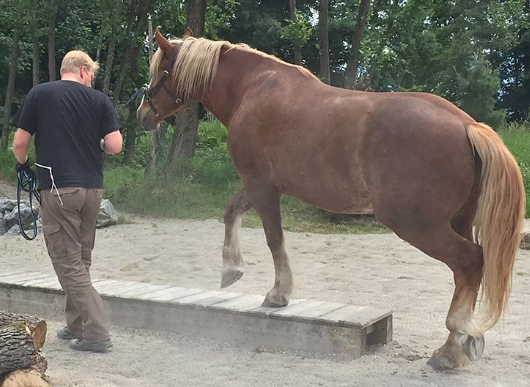 Schmaler Steg