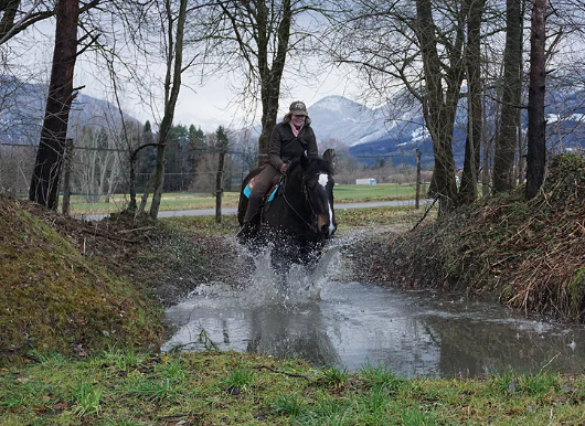 Wasser